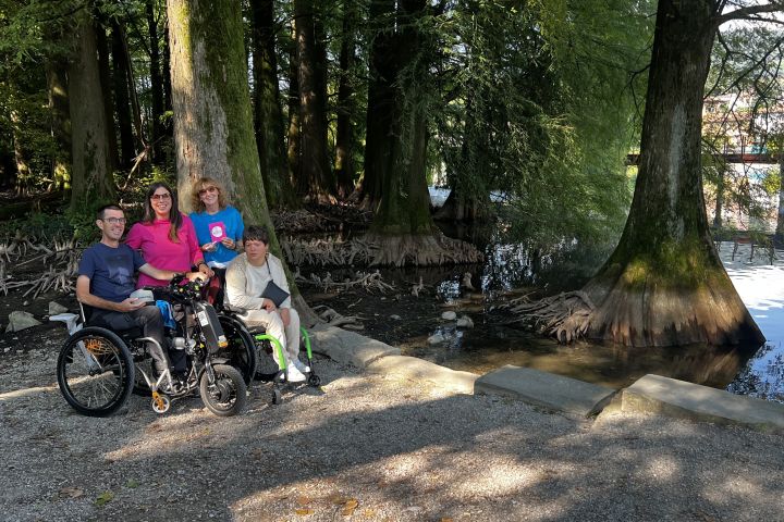 immagine Bosco dei Taxodi a Paratico: una passeggiata accessibile sul Lago d'Iseo